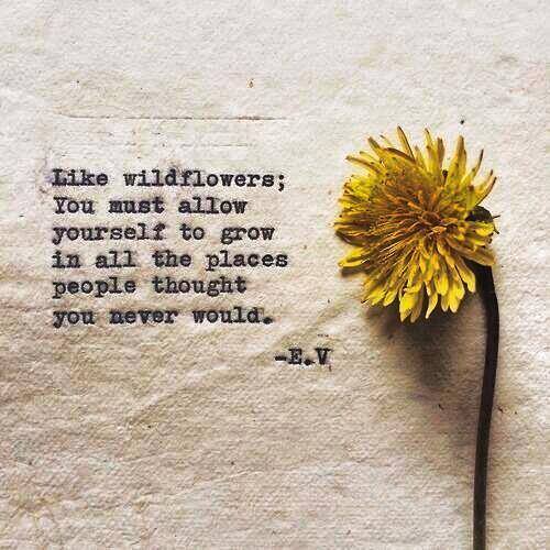 10676324_913622272000366_999371511346936275_n