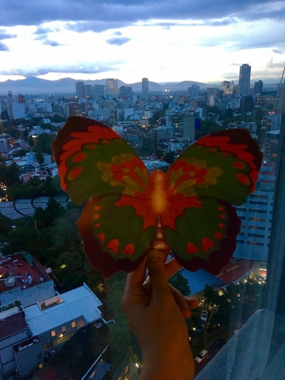 mexico-butterfly