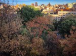Morningside Park